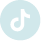 TikTok Icon