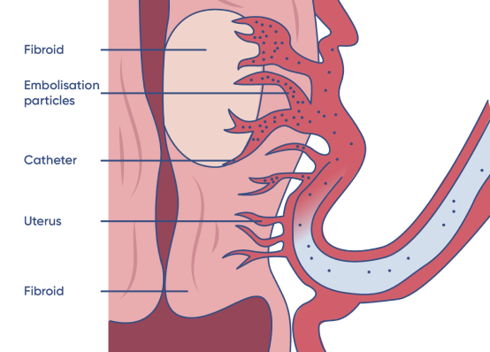 med-diagram